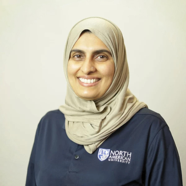 Gul Musavi